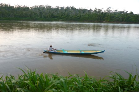 Rainforest kayaking