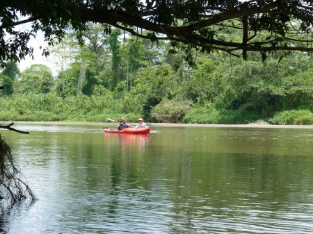 Kayaking to Sarapiquí river delta